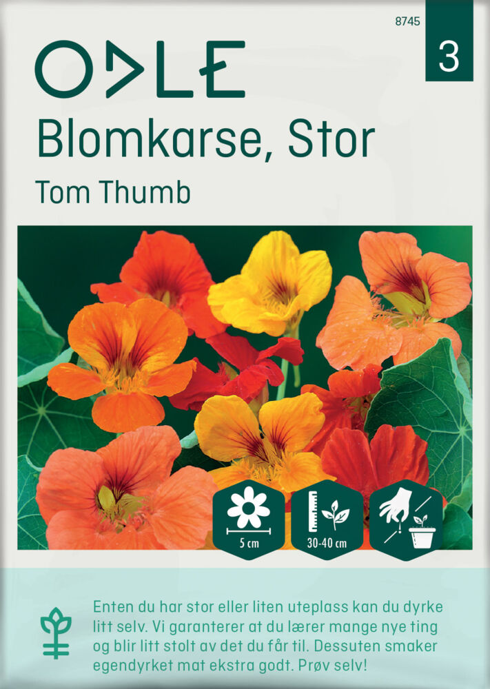 Odle ' Tom Thumb' stor blomkarse frø