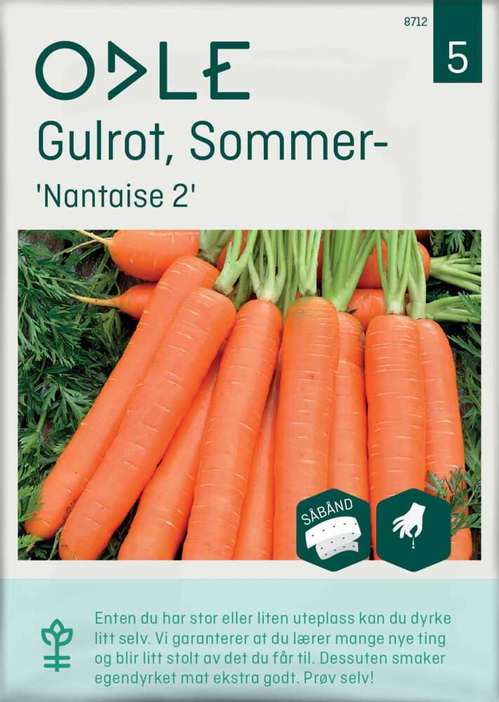 Odle 'Nantaise 2 sommer-' gulrot frø