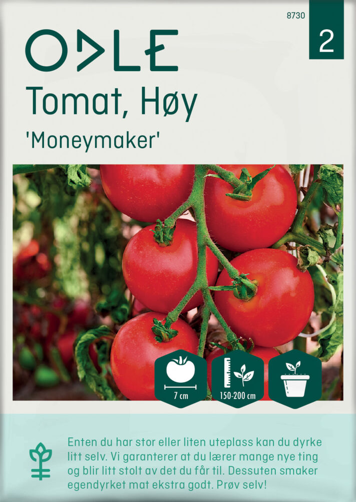 Odle 'Moneymaker'  høy tomat frø