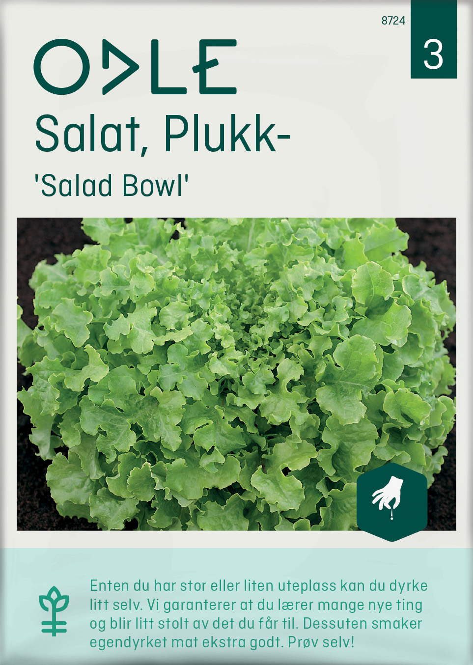 Odle 'Salad Bowl' plukk salat frø