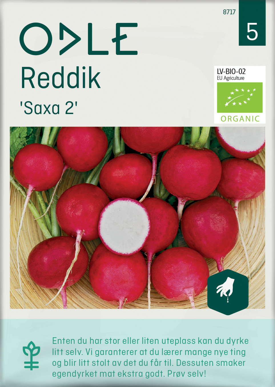 Odle 'Saxa 2' reddik frø