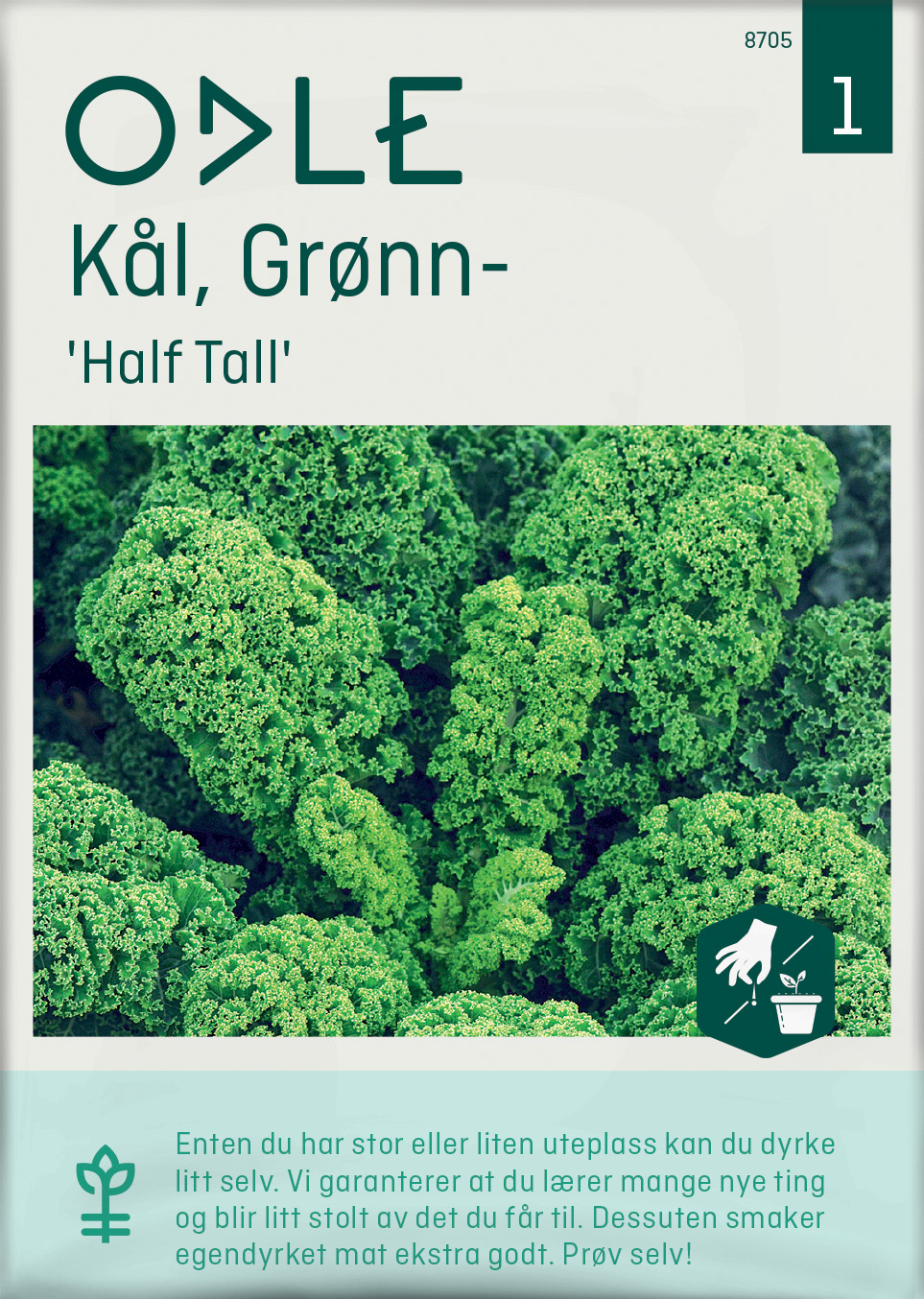 Odle 'Half Tall' grønnkål frø