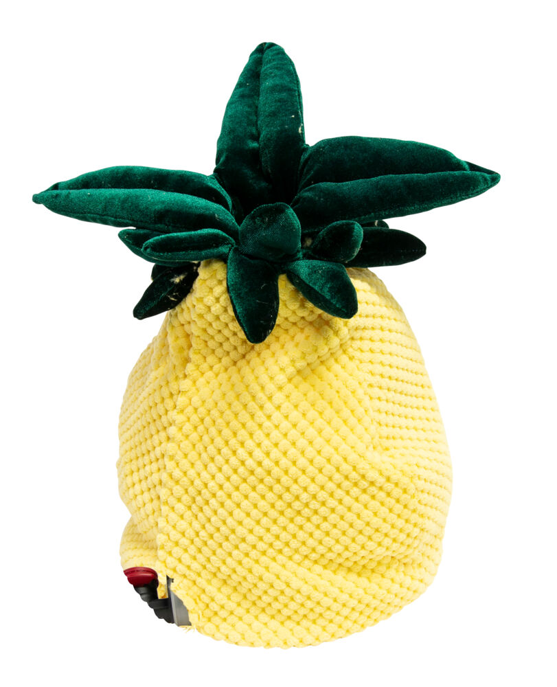 Vinananas