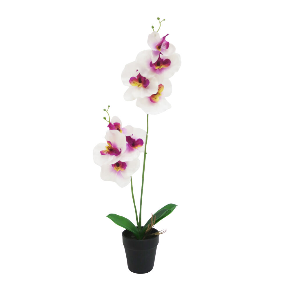 Produkt miniatyrebild Orkidè i potte H50cm
