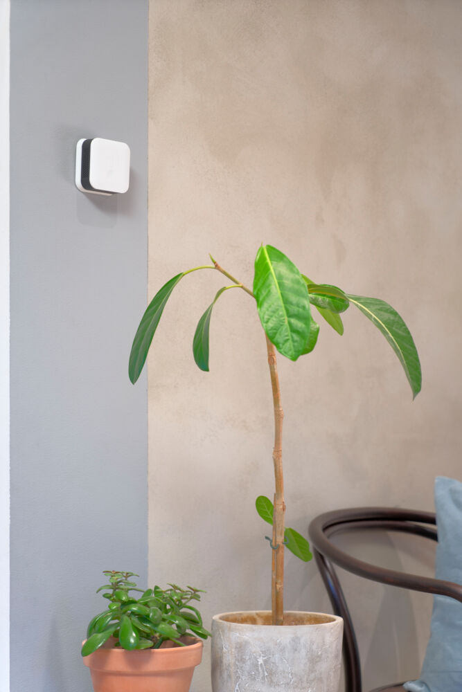 Produkt miniatyrebild Mill Sense – måler luftkvaliteten i hjemmet ditt