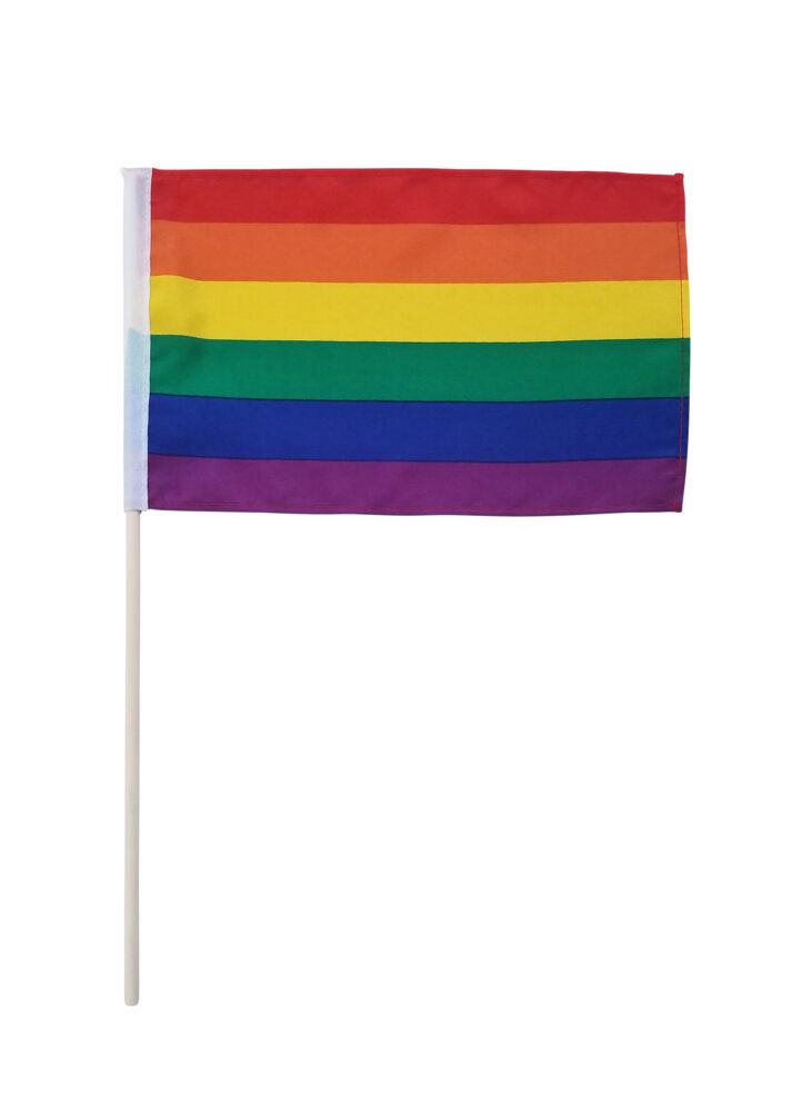 Pride håndflagg 20 x 30 cm