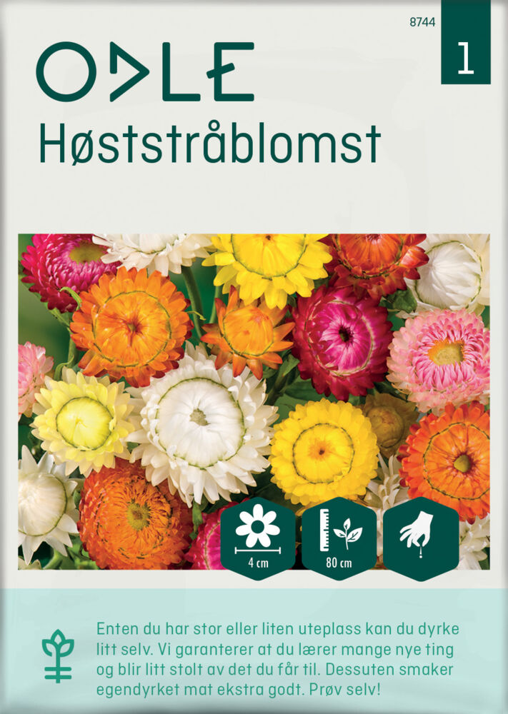 Odle høststråblomst frø