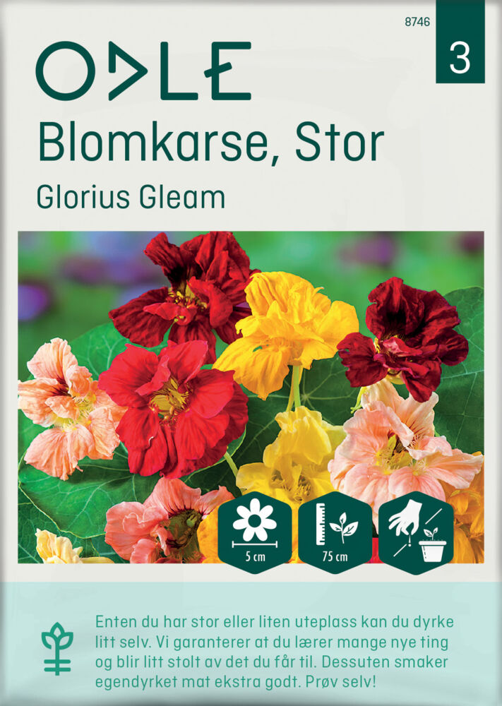 Produkt miniatyrebild Odle 'Glorius Gleam' stor blomkarse frø