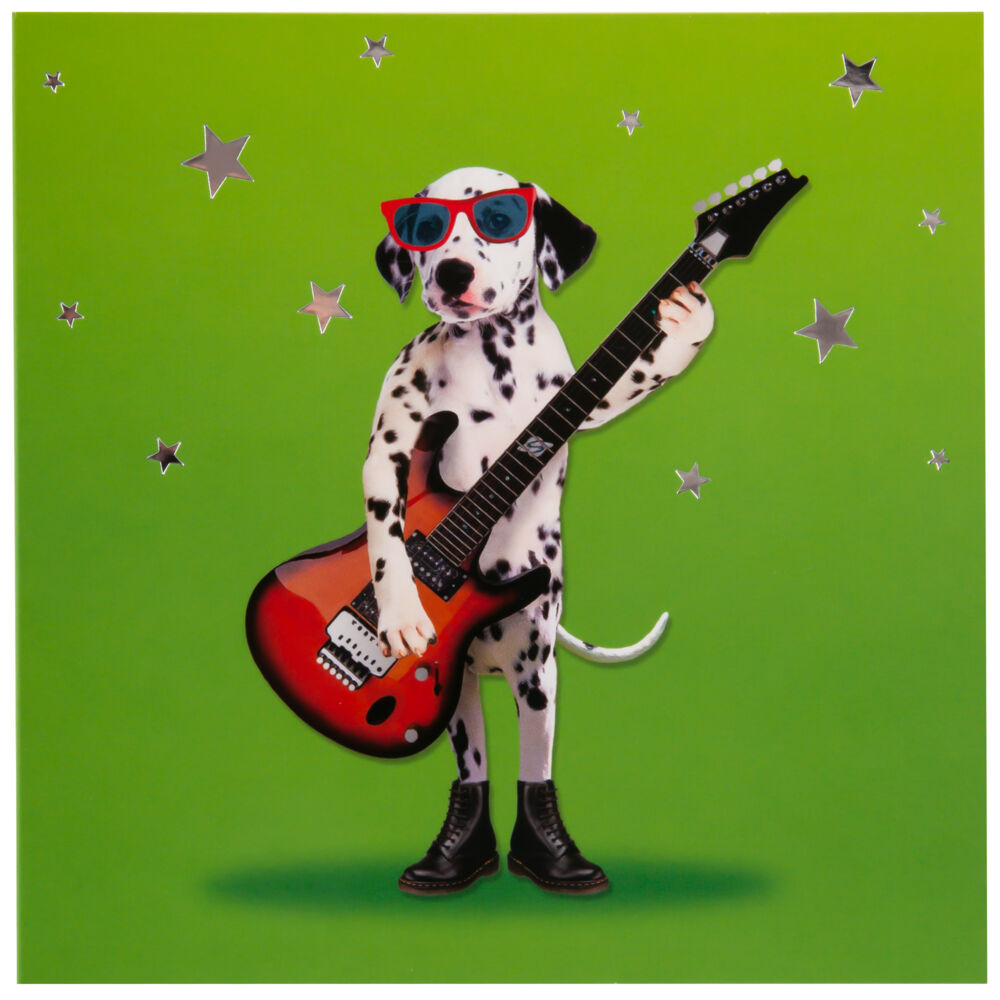 Produkt miniatyrebild Kort Dalmantiner med gitar
