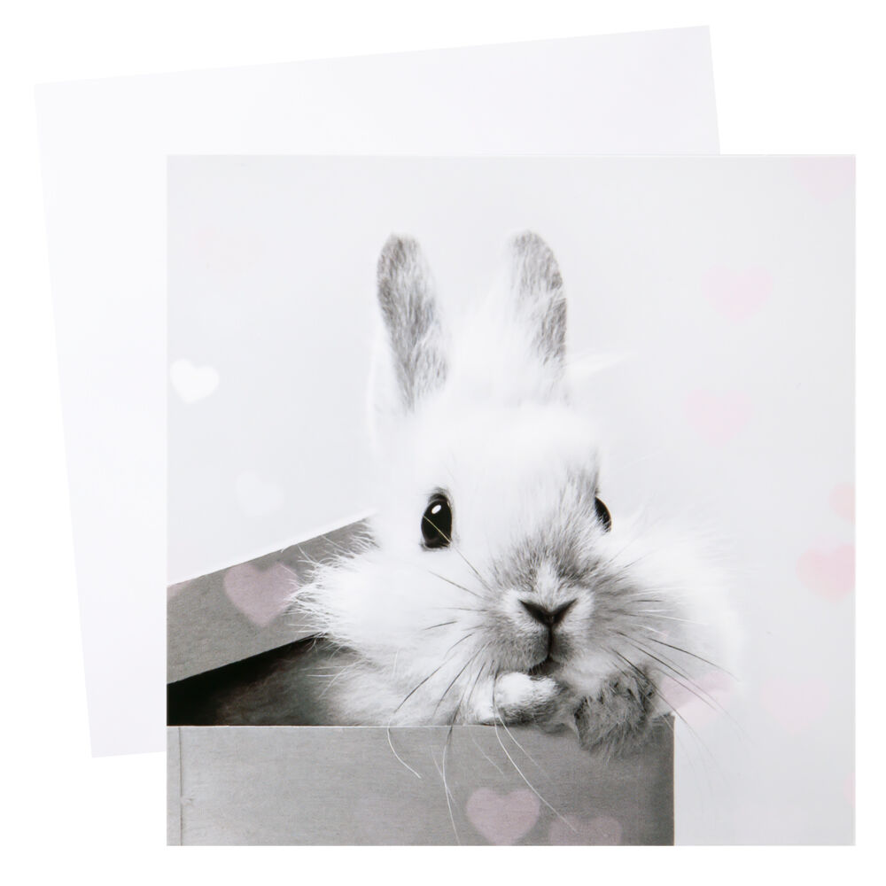 Produkt miniatyrebild Kort Kanin