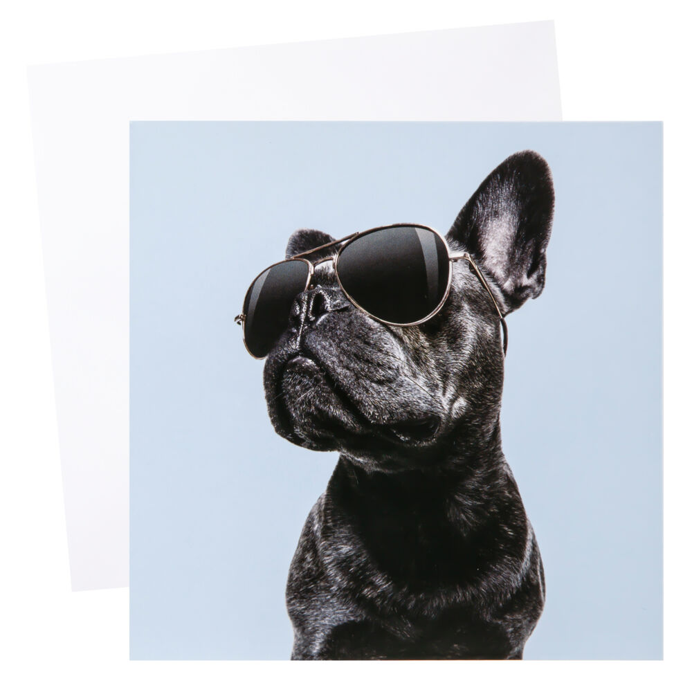 Produkt miniatyrebild Kort Hund med solbriller