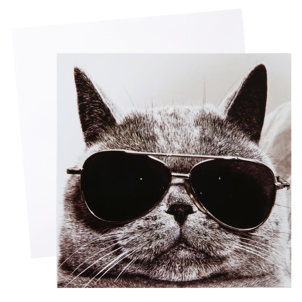 Produkt miniatyrebild Kort Katt med solbriller
