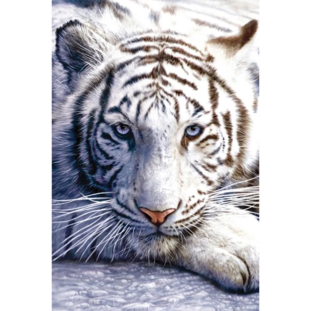 White tiger plakat